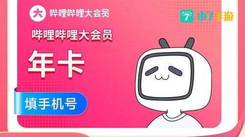 b站年度小会员