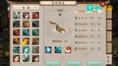 问道宝宝加点