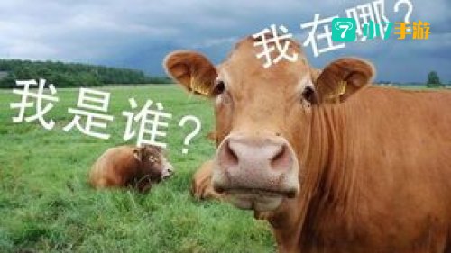 牛郎的牛是什么牛