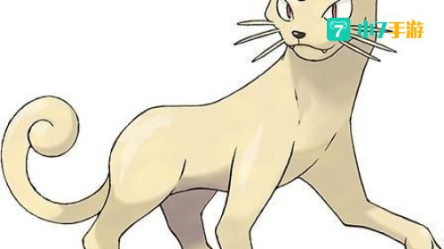 猫老大